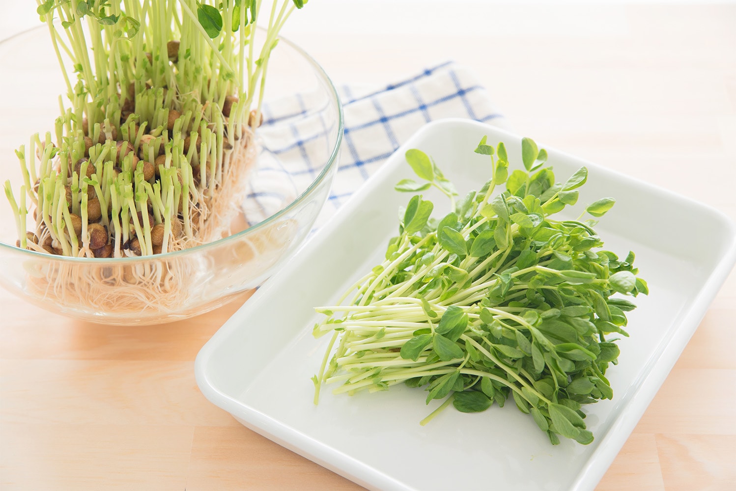 日持ちする野菜は常備がおすすめ。忙しい日でも「あと1品」がラクになる