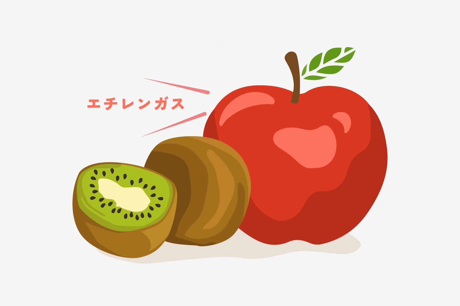 キウイは追熟がカギ！固いキウイの追熟方法と食べごろの見分け方