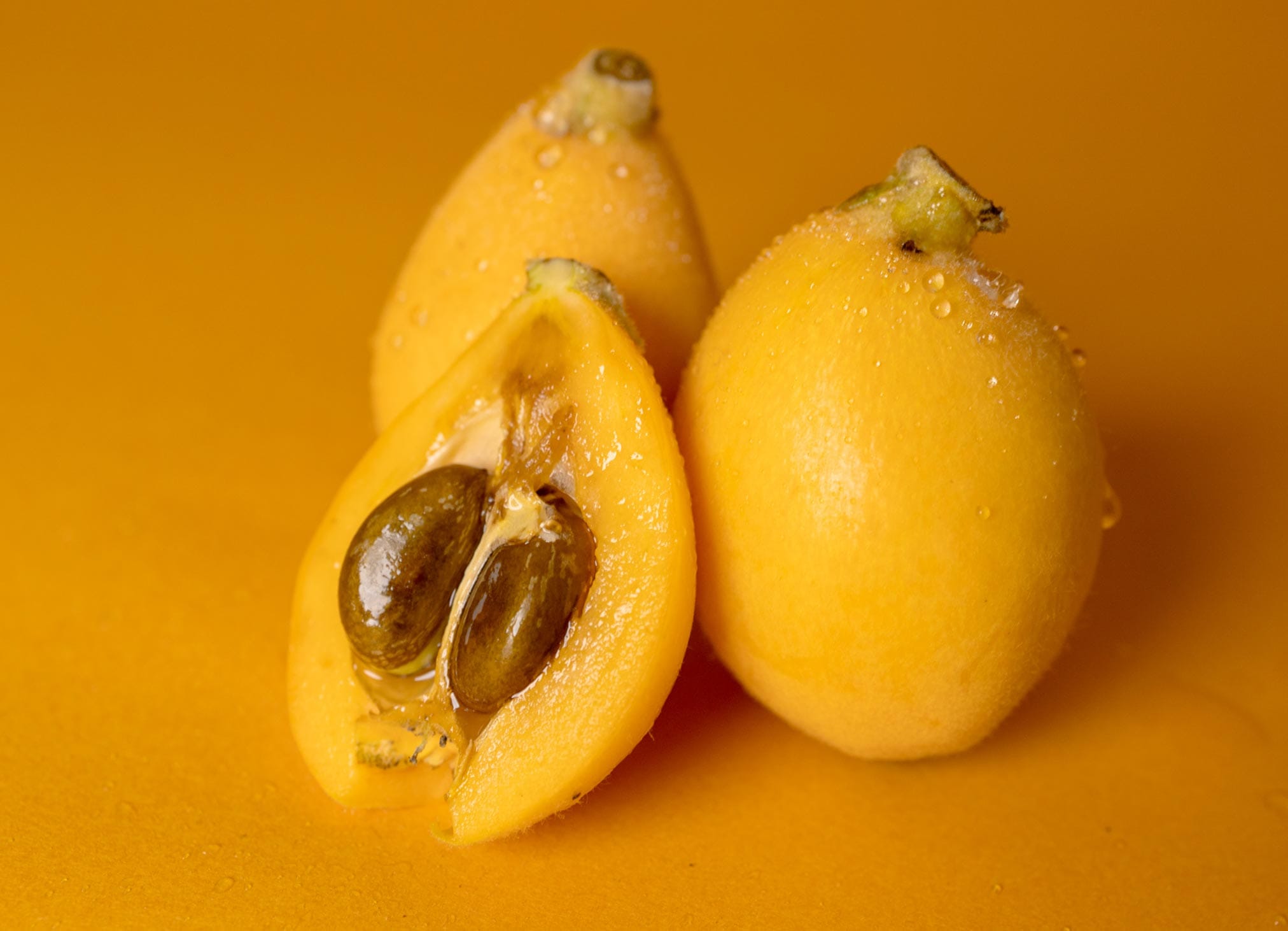 びわはなぜやわらかくてジューシー？やさしい食感の理由