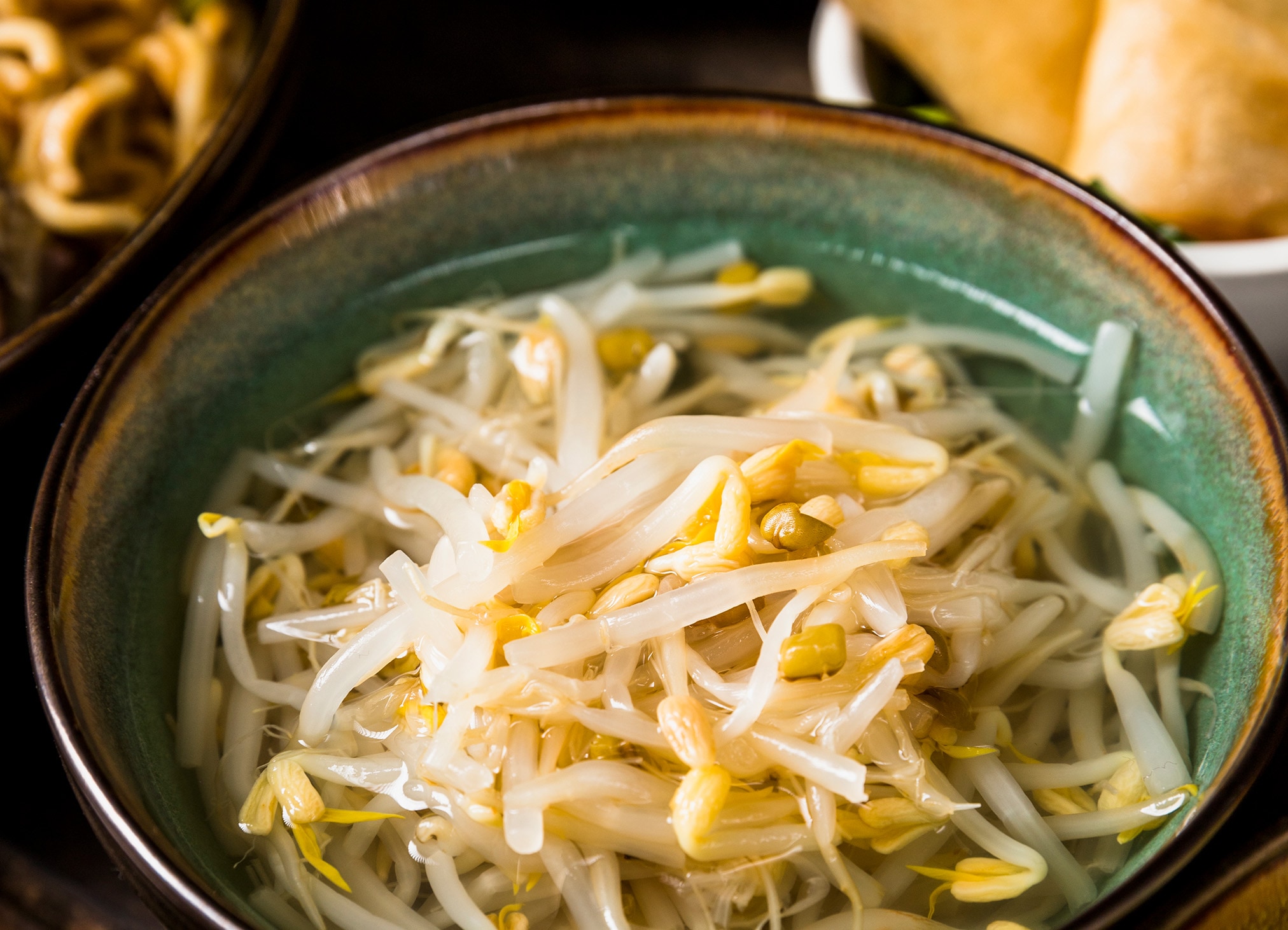 もやしは野菜室より冷蔵室！長持ちさせる保存方法をご紹介