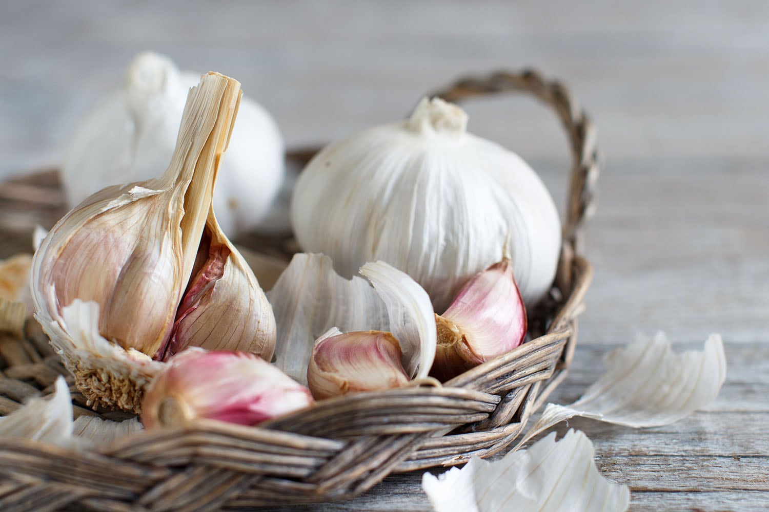 八百屋がすすめる、元気がでる野菜3選