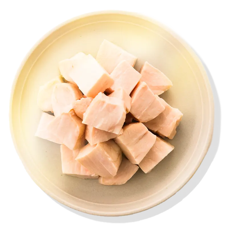 �ѥ�ץ��åץ�����̿�