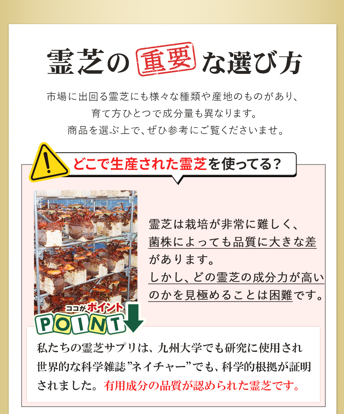 霊芝の選び方｜どの霊芝を使っているかを見極める｜霊芝サプリの自然縁｜九州大学でも研究に使用された霊芝を使用
