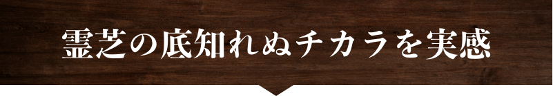 霊芝の底知れぬチカラを実感