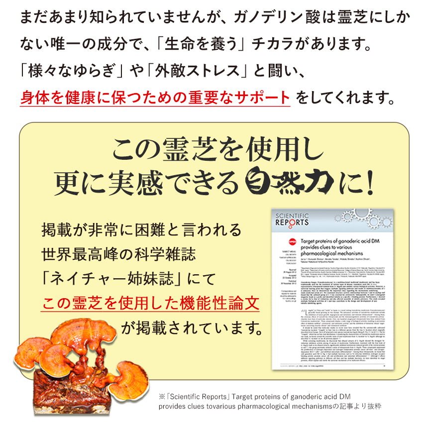 この霊芝を使うから意味がある｜外敵ストレスや年齢によるゆいらぎへの実感を証明！
