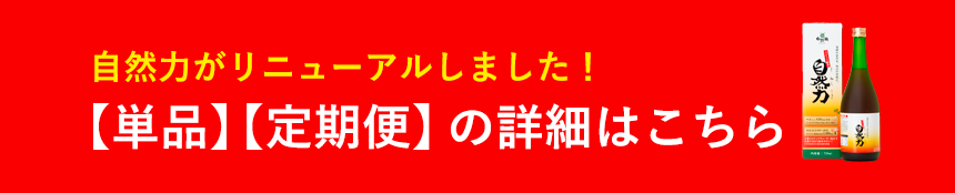 新自然力案内_01