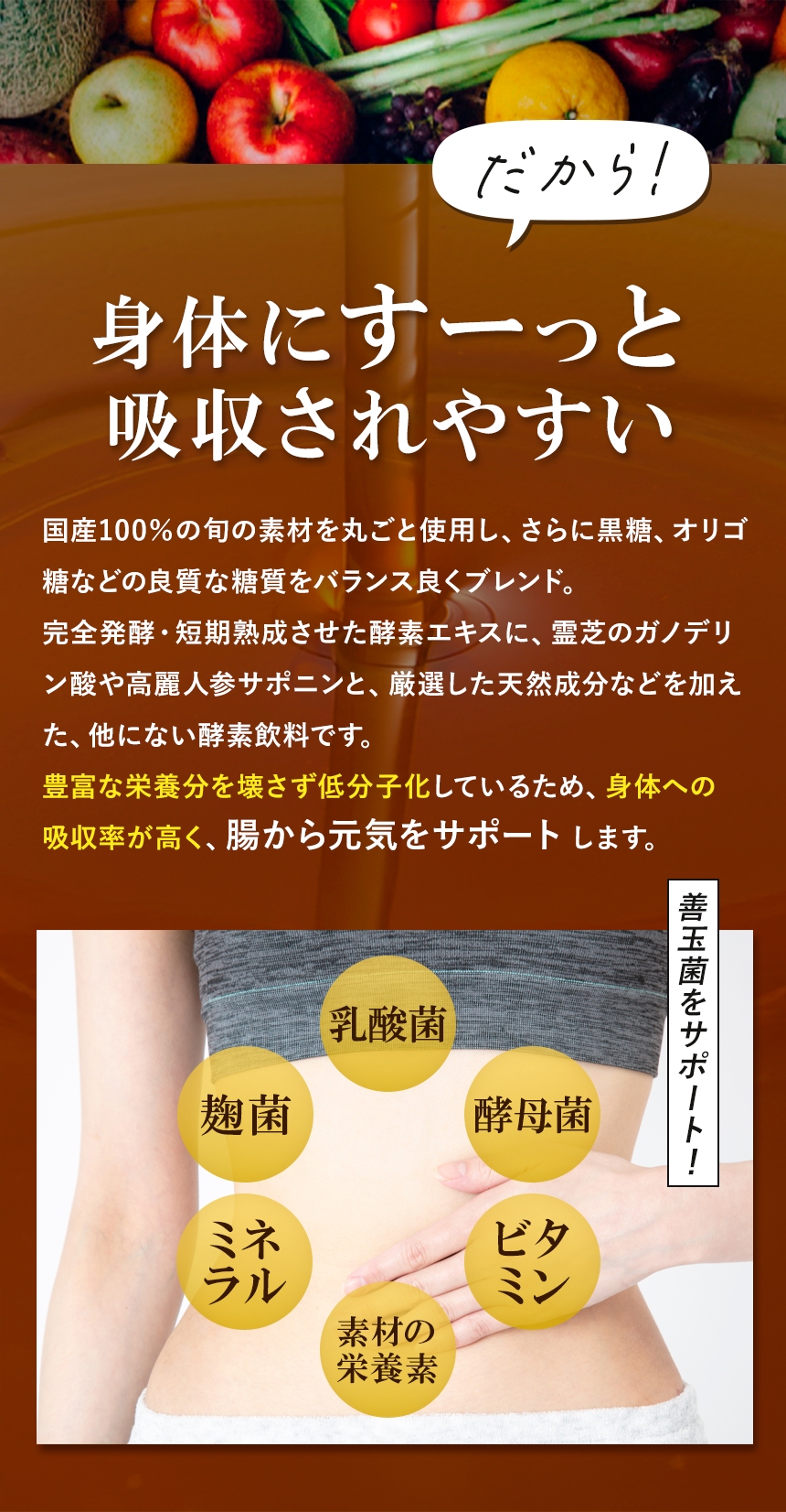 ココナッツ酵素飲料自然力【公式】｜良質で豊富な低分子化した栄養素が身体にどんどん吸収！乳酸菌・麹菌・酵母菌・ミネラル・ビタミン・サポニン・ガノデリン酸などの成分が摂れる！