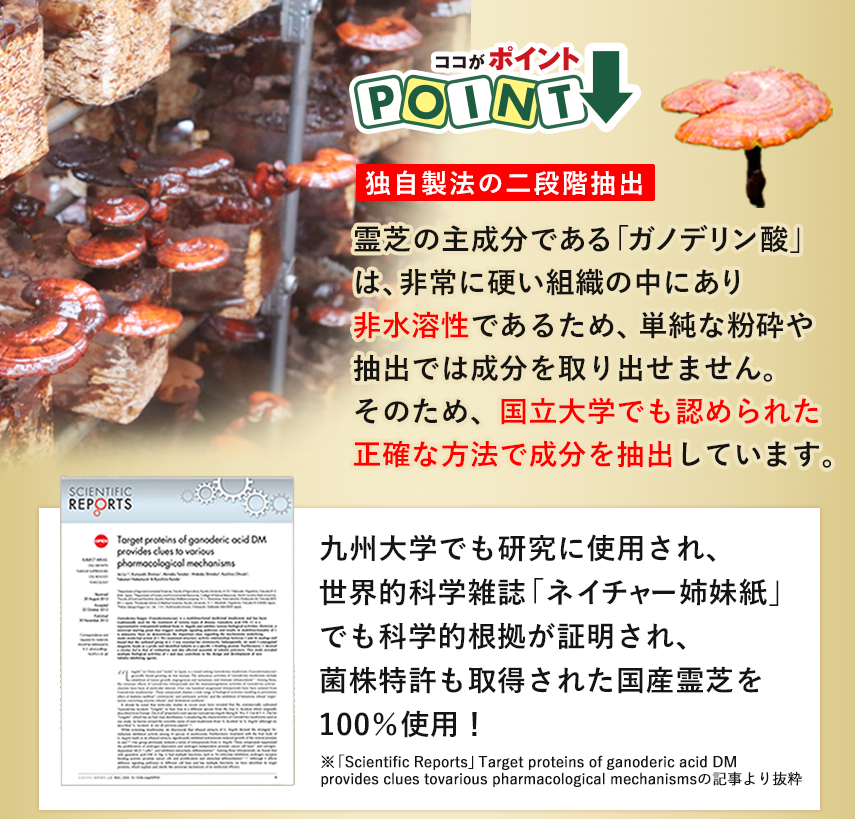 科学的根拠を持つ国立大学でも研究に使用された国産霊芝を100％使用｜ココナッツ酵素飲料自然力に使用する原材料