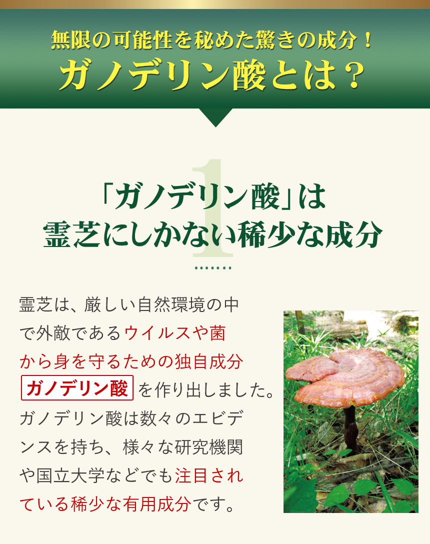 1.じねんえんの霊芝サプリが毎日の元気をサポート｜抽出にこだわった霊芝サプリ