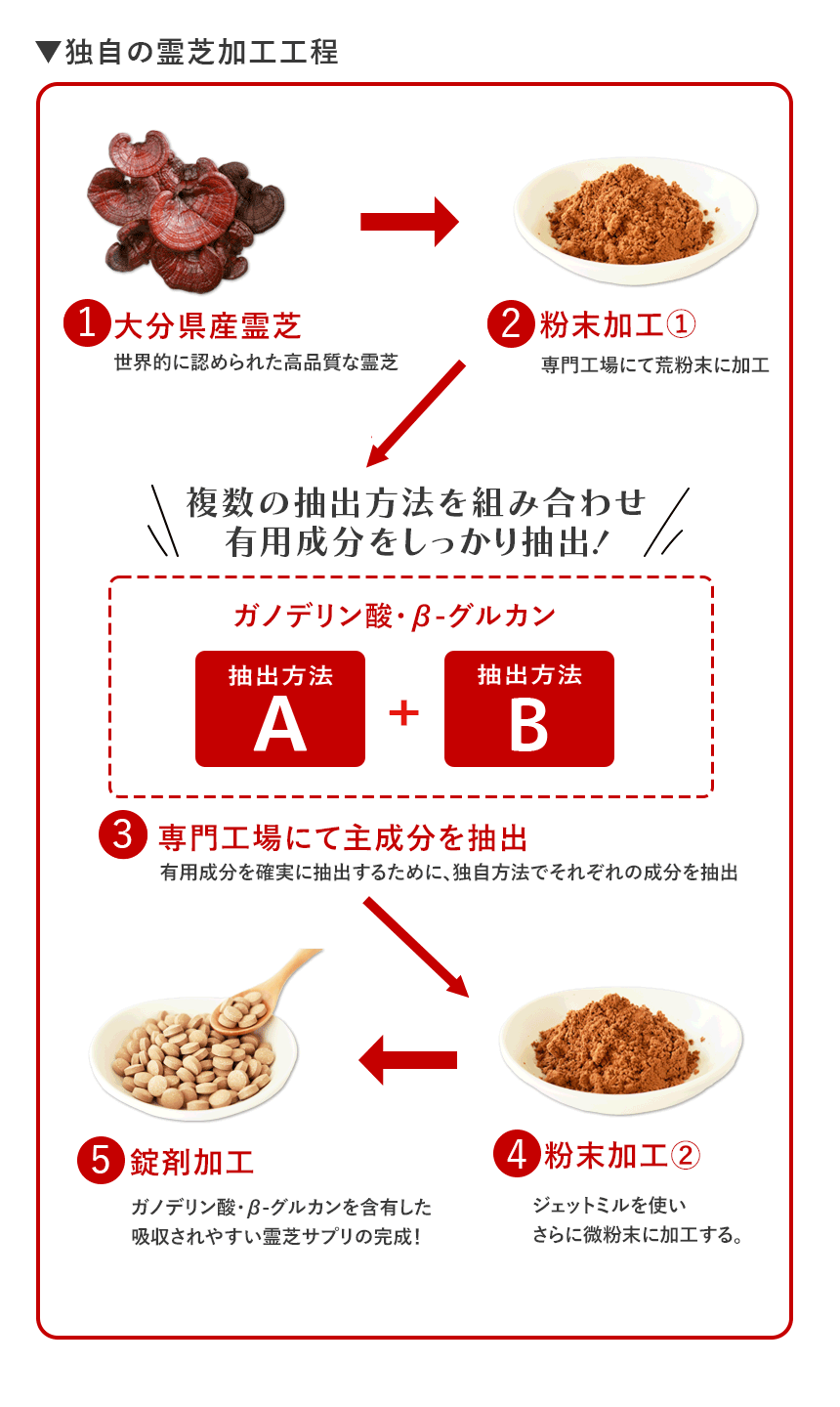 独自の抽出方法を見る｜霊芝サプリメント製造工程