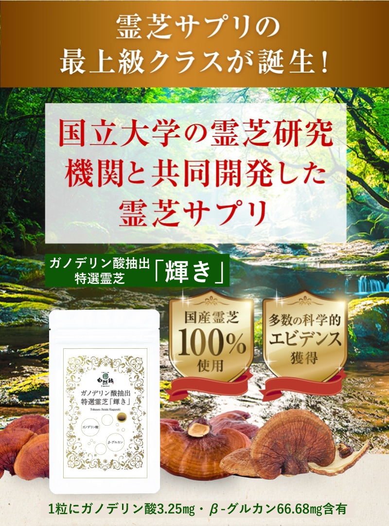 新品未使用 霊芝サプリメント | kensysgas.com