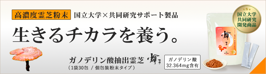 霊芝(レイシ)粉末｜ガノデリン酸抽出霊芝輝き 粉末1袋30包入｜高濃度霊芝粉末で生きるをサポート
