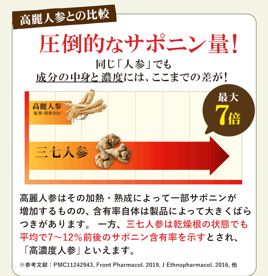三日人参そのものもサポニン含有量は人参界でトップクラス！高麗人参や朝鮮人参の7倍！