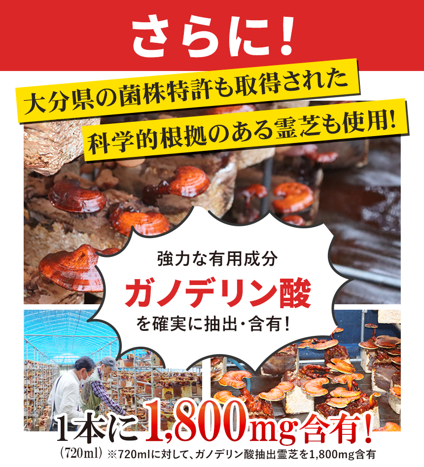 さらに霊芝の生きるチカラ「ガノデリン酸」という霊芝特有の天然成分を含むガノデリン酸抽出霊芝も1800mg含有！国産の科学的根拠を獲得した高品質な霊芝を使用！