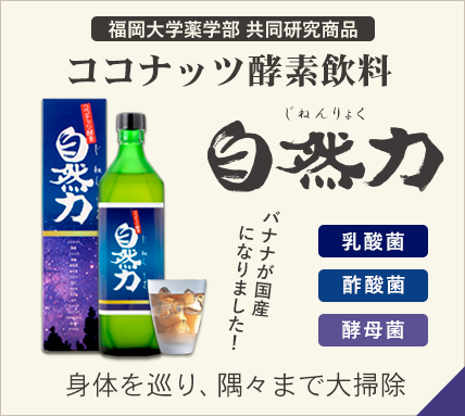 酵素飲料 自然力(じねんりょく)｜発酵ココナッツ酵素｜ダイエット