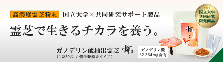 霊芝(レイシ)粉末｜ガノデリン酸抽出霊芝輝き 粉末1袋30包入｜高濃度霊芝粉末で生きるをサポート