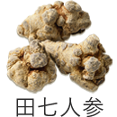 素材から選ぶ｜田七人参｜自然縁通販