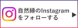 インスタグラム