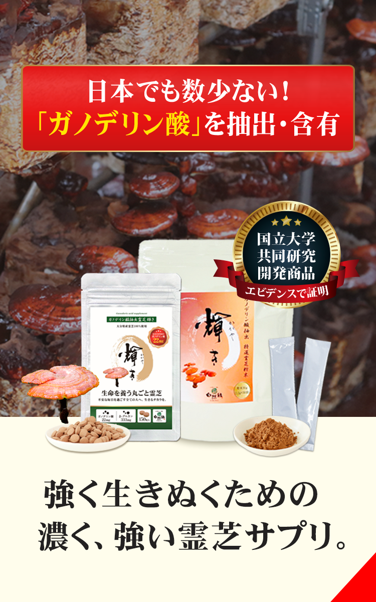 強く生き抜きぬく力｜ガノデリン酸・霊芝サプリメント・レイシ粉末｜自然縁公式