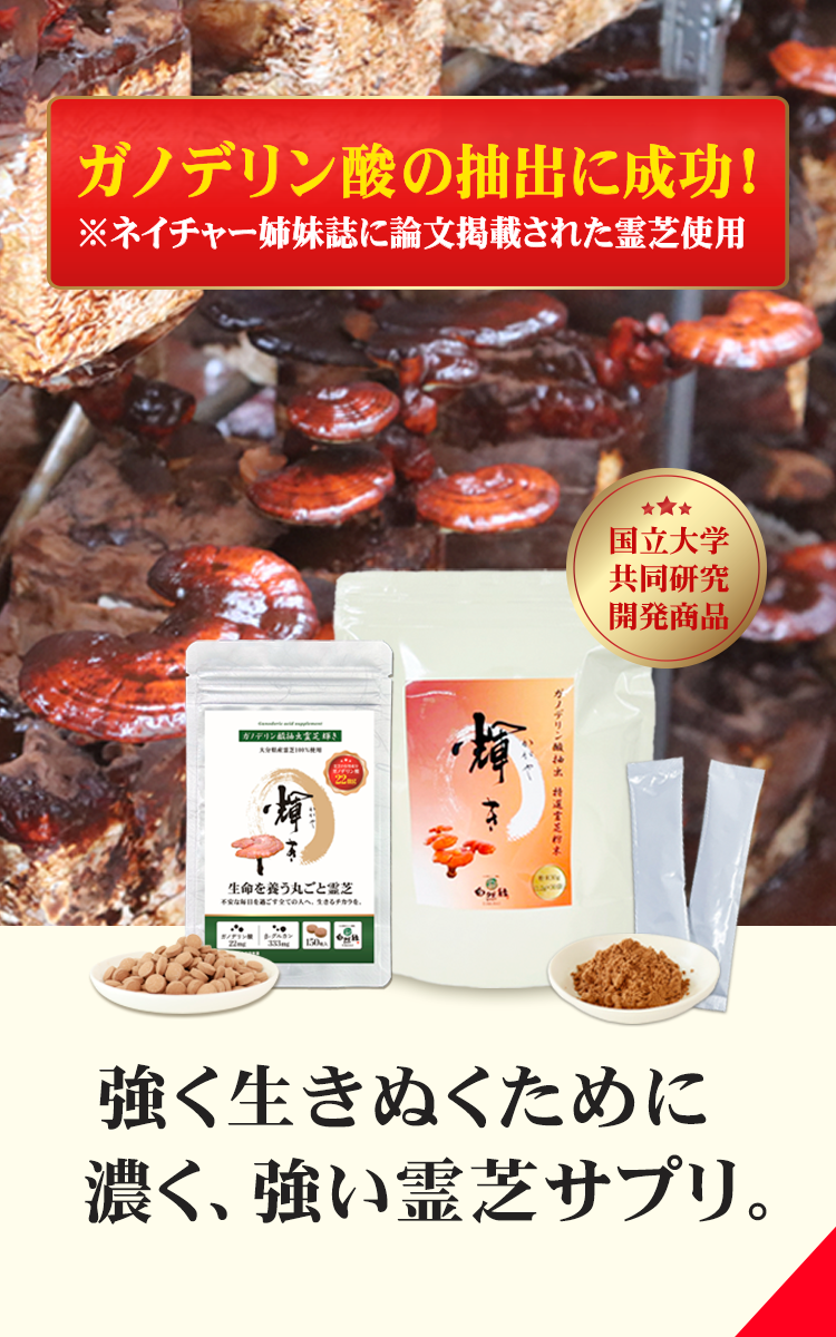 強く生き抜きぬく力｜ガノデリン酸・霊芝サプリメント・レイシ粉末｜自然縁公式