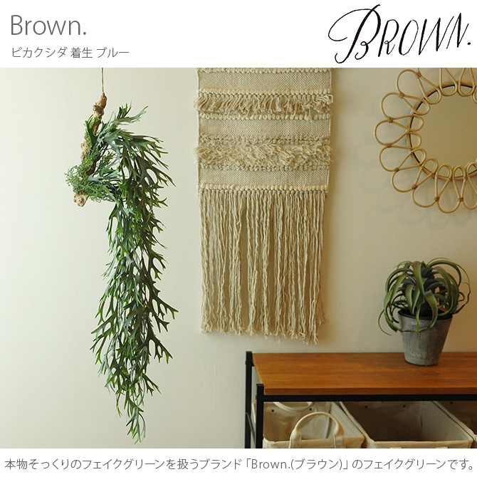 Brown. ֥饦 ե꡼ ӥ  ֥롼  տʪ ե꡼ ߥơե ¤ ǥץ쥤 ܥ˥ ʪ ¿ʪ ƥꥢ   