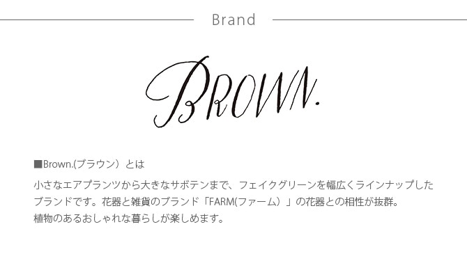 Brown. ֥饦 ե ݥå  տʪ ե꡼ ߥơե ¤ ǥץ쥤 ܥ˥ ʪ ¿ʪ ƥꥢ   