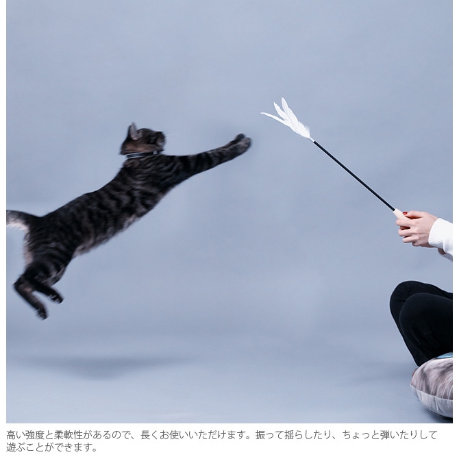 pidan ԥ Cat Teaser Wand Handhold ǭ餷  ǭ餷 ǭ ͥå ǭå ǭ ͥ ڥå ڥåȥå ưʪ   