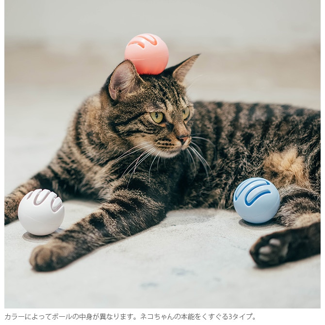 Pidan ピダン Cat Toy Ball 猫用おもちゃボール 商品種別 ペットアイテム 猫用雑貨 おもちゃ Uminecco ウミネッコ