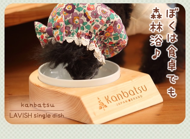 kanbatsu  LAVISH single dish ラビッシュシングルディッシュ KBBS01 /犬/食器/木製/おしゃれ/シンプル/陶器/かわいい/カンバツ/室内/小型犬/ 