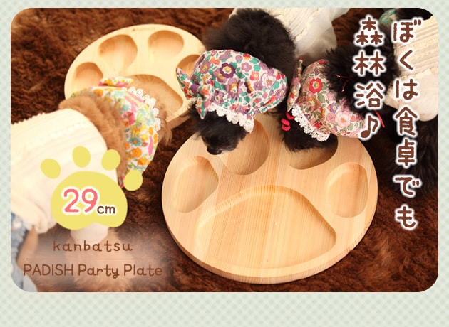  kanbatsu  PADISH Party Plate  ѥǥåѡƥץ졼 290 KBP02 