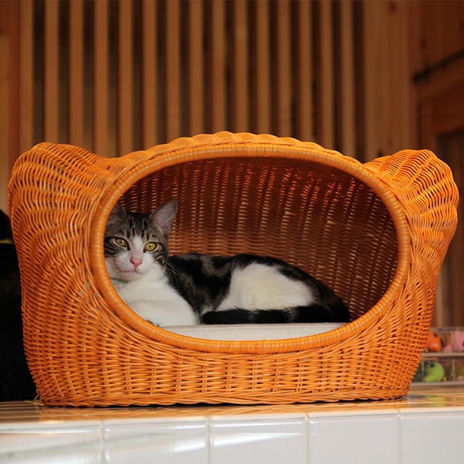 ラタンキティハウス 猫ベッド-
