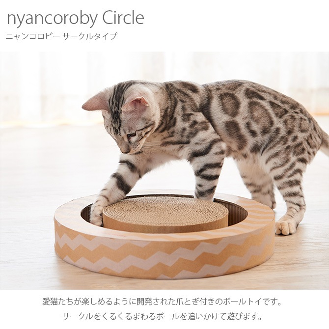nyancoroby Circle ˥󥳥ӡ 륿  ǭ ޤȤ  ܡ ޸ ǭѤ mju: ߥ塼  