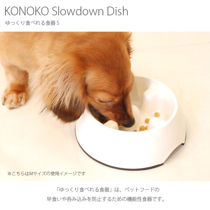 KONOKO Υ Slowdown Dish ä꿩٤뿩 S  ǭ աɥܥ  Ϥ Ῡɻ ڥå  ͥ   