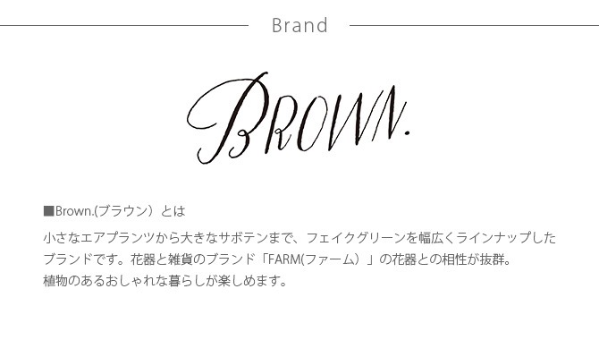 Brown. ֥饦 ե꡼ ӥ ϥ󥮥 졼 30  ե꡼ ɳݤ ϥ󥮥   ꡼ ƥꥢ ¤ ʪ ڥå  