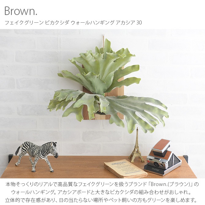 Brown. �֥饦�� �ե��������꡼�� �ӥ������� ��������ϥ󥮥� �������� 30  �ե��������꡼�� �ɳݤ� �ϥ󥮥� ������� �� ���꡼�� ����ƥꥢ ¤�� ��ʪ �ڥå�  