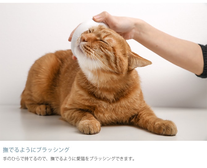 pidan ピダン Pet Brush-Q 猫用ブラシ 