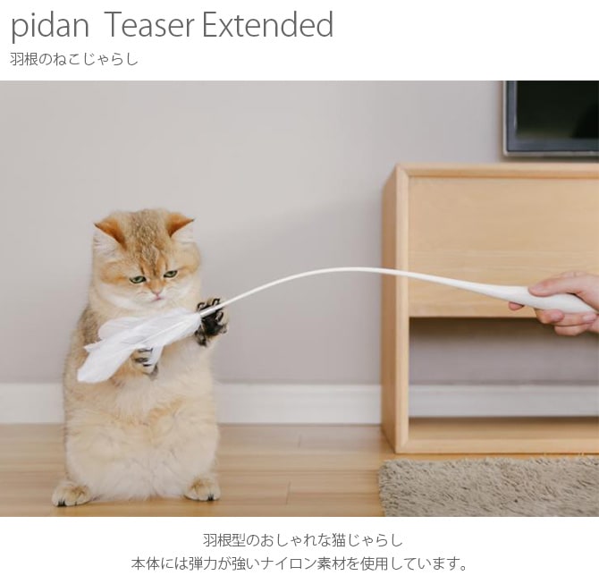 pidan ԥ Teaser Extended Τͤ餷 