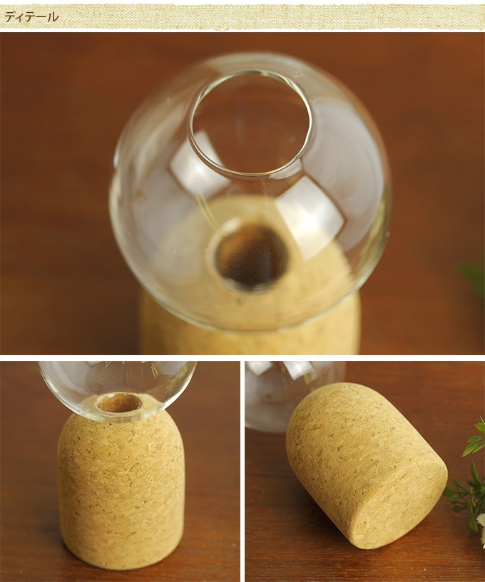 ���饹���ӡ����饹�ȥ��륯�Τ�������ͻ�硡��  �ե��١��� �¥���� �ץ�󥿡� ������� ���� ���ե� ����ƥꥢ �䤵���� ���襤�� ���ꥢ���饹  