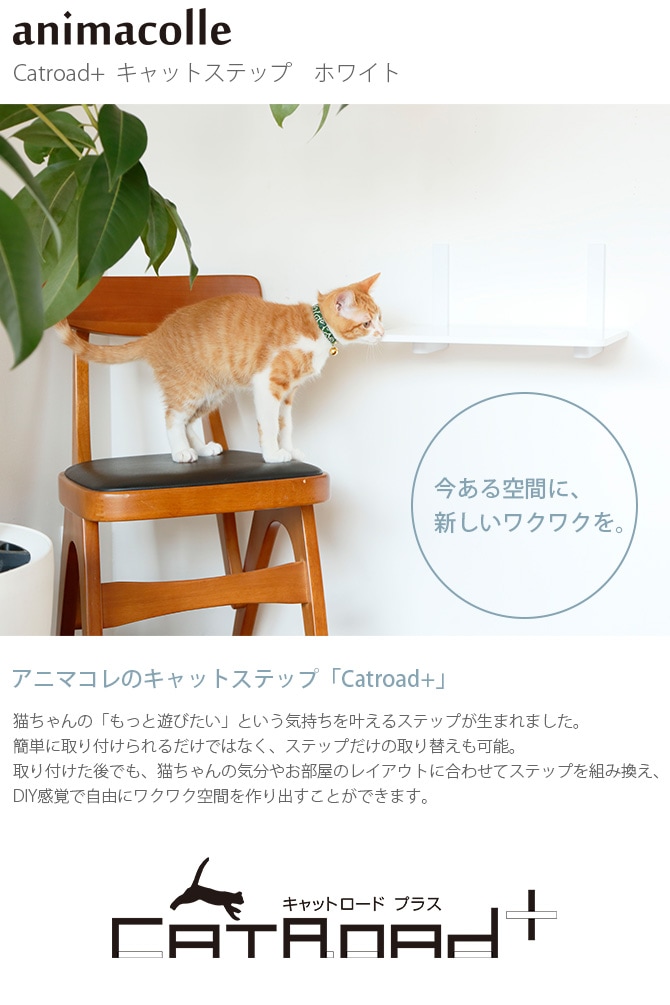 animacolle アニマコレ Catroad+ キャットステップ ホワイト | 商品 ...