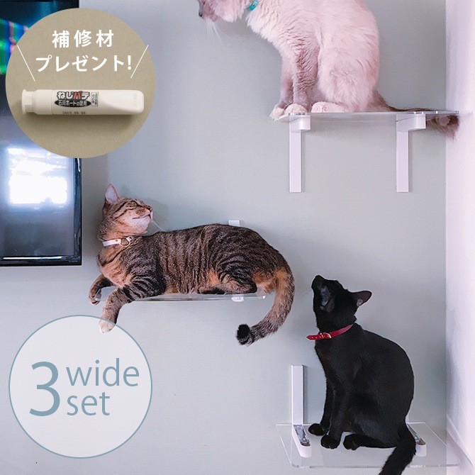 アニマコレ animacolle キャットロードプラス 3点セット猫用品