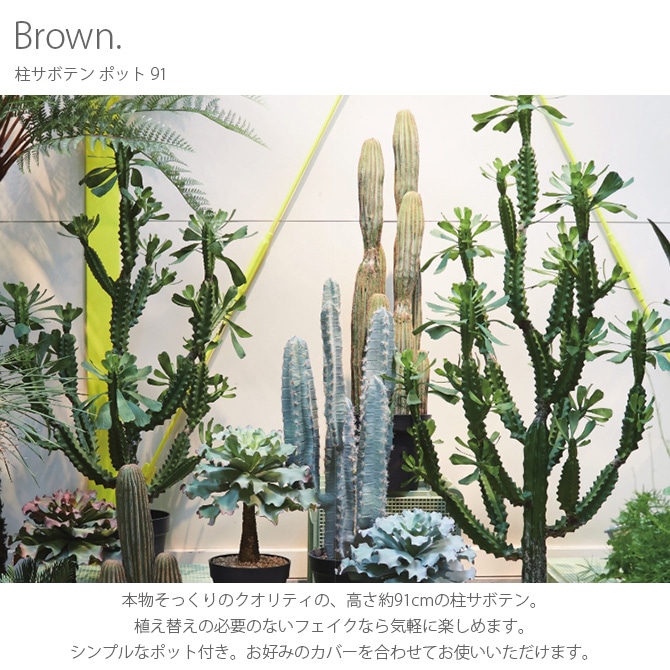 Brown. ブラウン 柱サボテン ポット 91 | 商品種別,グリーン,フェイク