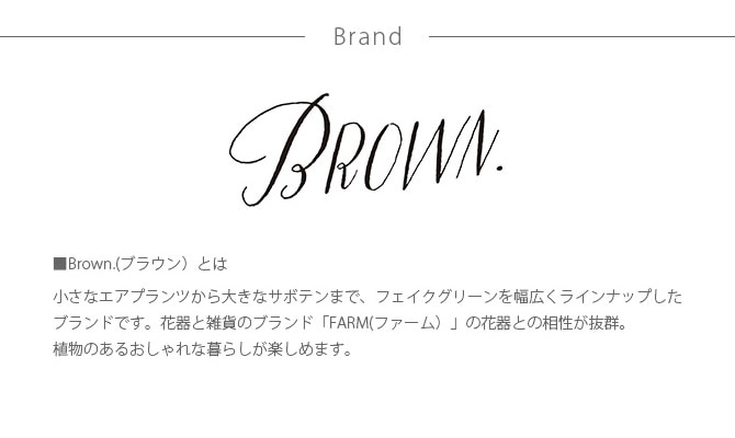 Brown. ֥饦 쥵ܥƥ ݥå 91 