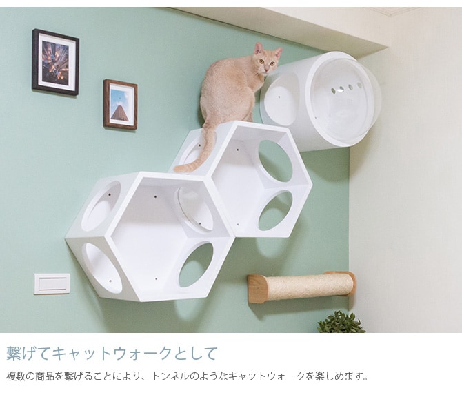 MYZOO マイズー Busy cat 六角ハウス 