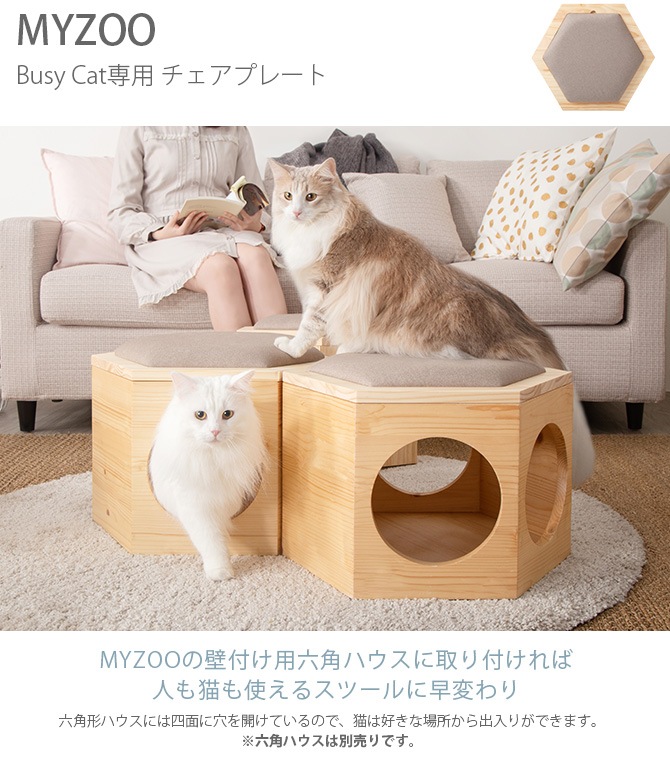 MYZOO ޥ Busy Cat Chair Plate ץ졼  ǭ ϥ ġ ϻ  ̵ ץ ػ ݤ  
