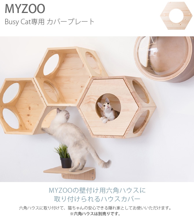 MYZOO ޥ Busy Cat Cover Plate Сץ졼  ǭ ϥ ġ ϻ  ̵ ץ ػ ݤ  