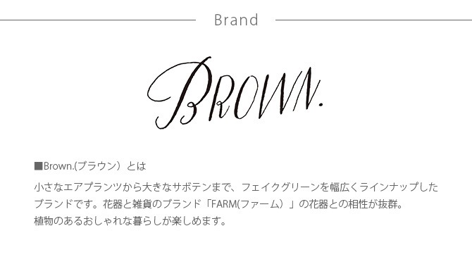 Brown. ֥饦 ե꡼ ȥ꡼ PB 46 