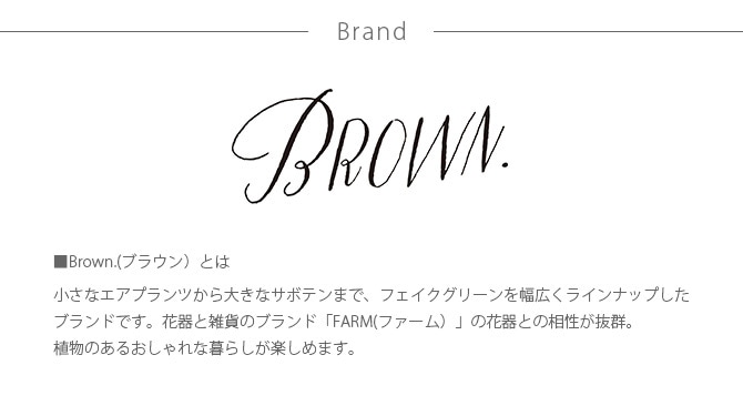 Brown. ֥饦 ե꡼ 󥸥  64 