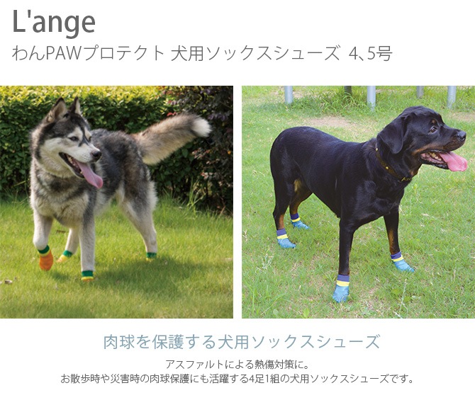 L'ange わんPAWプロテクト 犬用ソックスシューズ | 商品種別,ペット