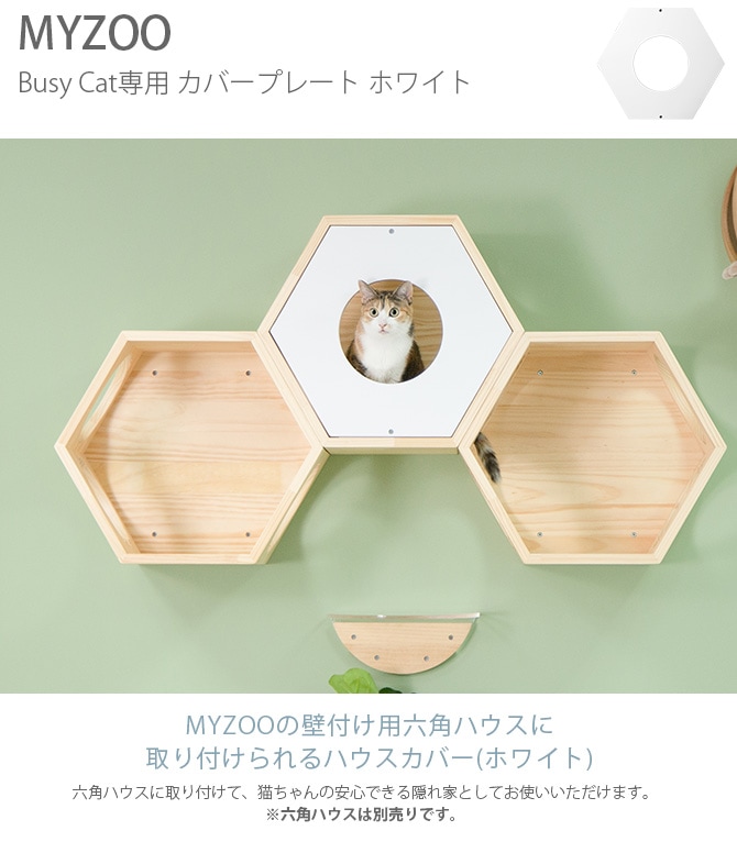 MYZOO マイズー Busy Cat専用 Cover Plate カバープレート ホワイト  猫 ハウス スツール 六角 木製 無垢材 シンプル 椅子 腰掛け MY ZOO  