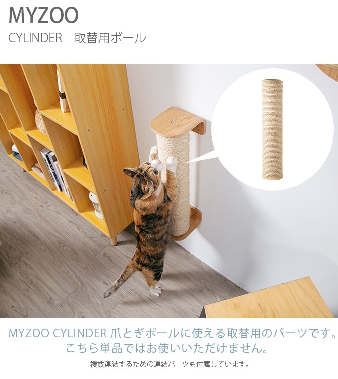 MYZOO ޥ CYLINDER  ǭ ޤȤ åȥ ĤȤ ĥȥ դ MY ZOO  ե  